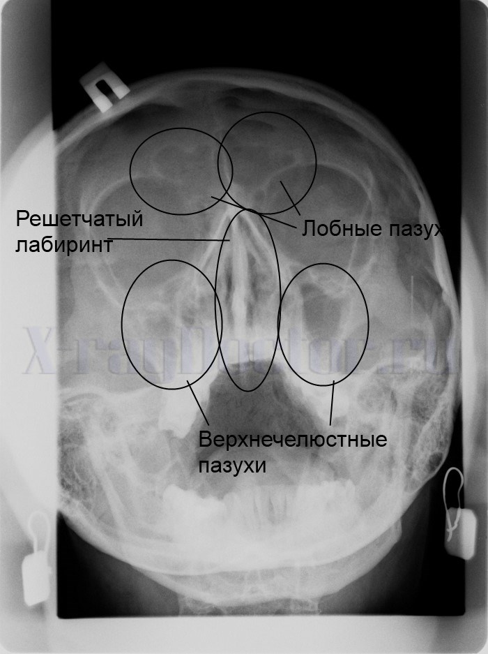 Онлайн консультація проктолога