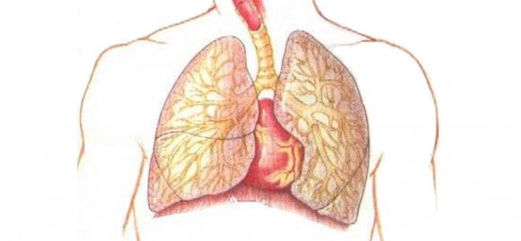 Заболевания дыхательной системы